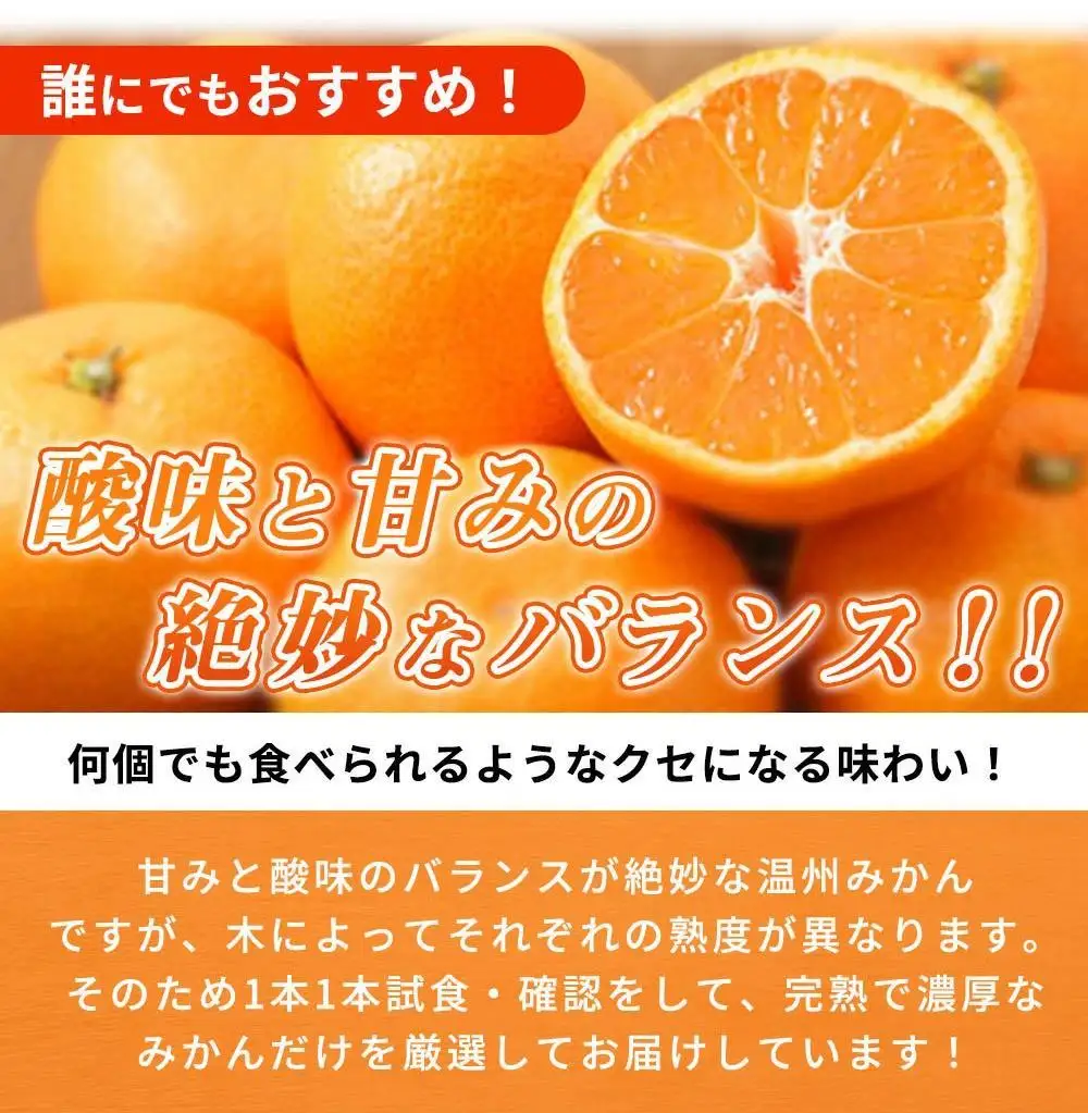 ［ご家庭用訳あり］紀州有田産濃厚完熟温州みかん 約2kg［2026年11月下旬以降発送］［先行予約］