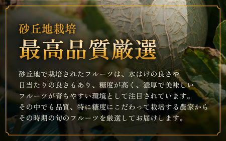 【先行予約】【定期便 4回コース】 坂井市フルーツ三昧！！「極」A 【2027年6月上旬以降順次発送開始予定】定期便 くだもの 果物 [H-3202]