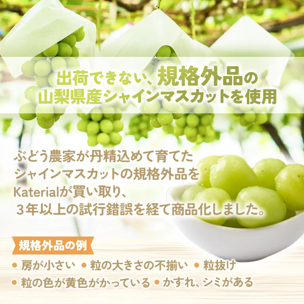 サントリー登美の丘ワイナリー〈SUNTORY FROM FARM　甲州　日本の白&SDGs ドライシャインマスカット 詰め合わせ〉 山梨シャインマスカット
