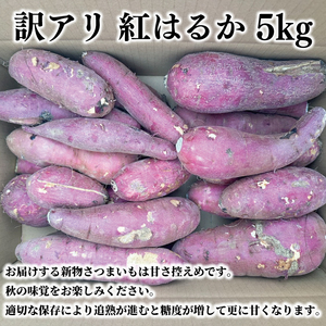 【先行予約】【10月中旬以降より順次発送】訳アリ 茨城県産紅はるか 約5kg｜さつまいも 芋 サツマイモ 紅はるか 訳あり わけあり 茨城県 取手市（AS003-1）