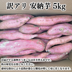 【先行予約】【10月中旬以降より順次発送】訳アリ 茨城県産安納芋 約5kg｜さつまいも 芋 サツマイモ 安納芋 訳あり わけあり 茨城県 取手市（AS004-1）