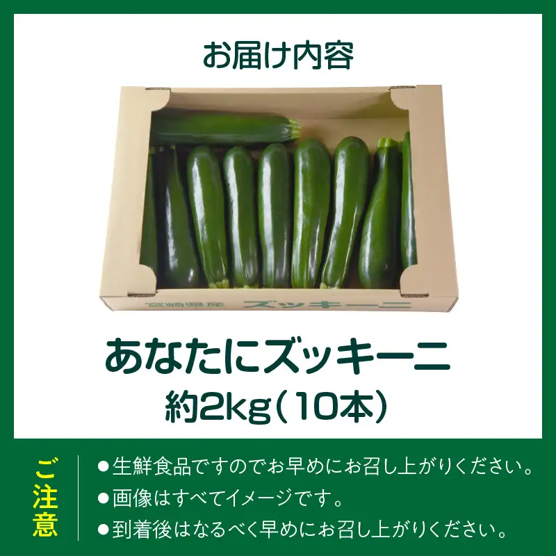 野菜ソムリエサミット銀賞受賞！ あなたにズッキーニ約2kg（10本）_kn109-001