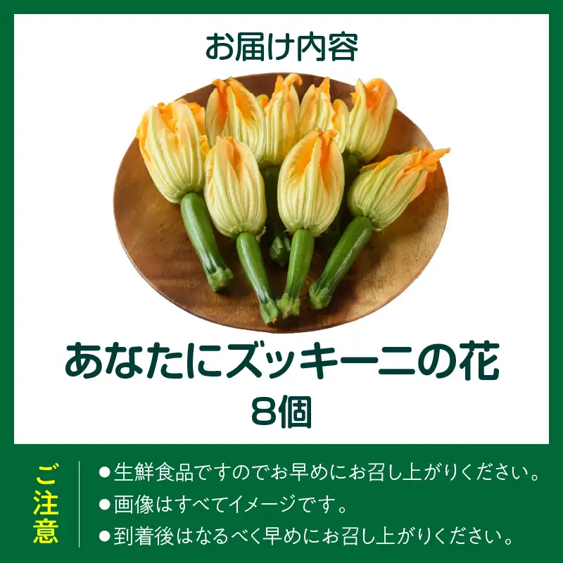 あなたにズッキーニの花 8個_kn109-002