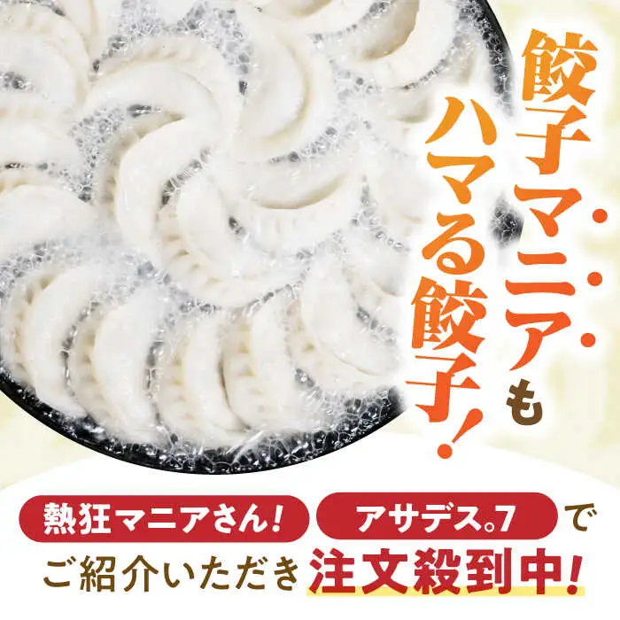 【3回定期便】《餃子のかわしも》かわしも焼き餃子お徳用45個入りパッケージ [AHBM006]