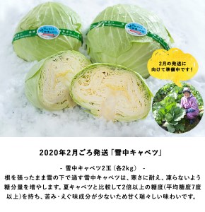 【年4回発送】小谷村特産品定期便｜おたりの旬をお届けします