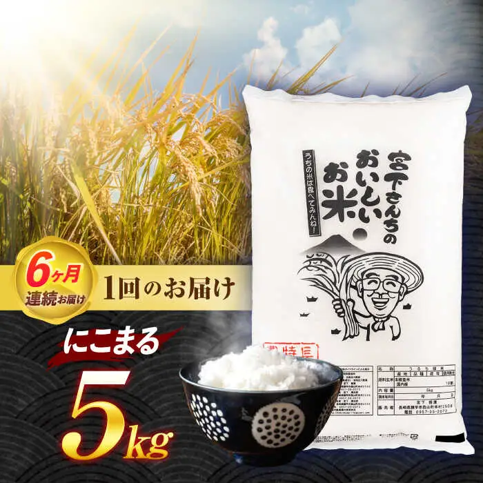 (令和7年産)【6回定期便】長崎県認定特別栽培米にこまる5kg / 米 こめ コメ おこめ お米 白米 精米 にこまる kome 長崎県産 / 諫早市 / 宮下農園   [AHCG026]