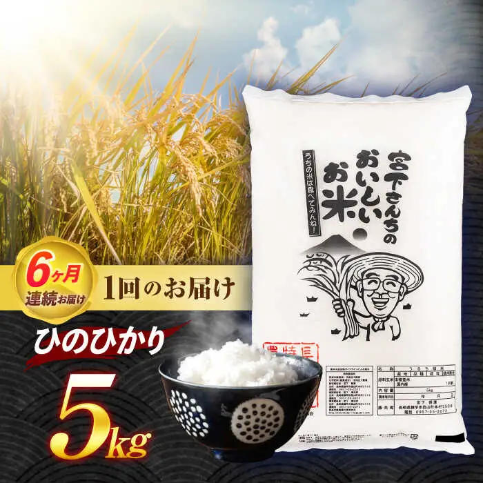 (令和7年産)【6回定期便】長崎県認定特別栽培米ひのひかり5kg / 米 こめ コメ おこめ お米 白米 精米 ひのひかり ヒノヒカリ kome 長崎県産 / 諫早市 / 宮下農園   [AHCG027]