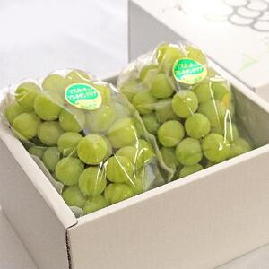 2026年 岡山県産 マスカット ・オブ・アレキサンドリア 2房 約1.2kg くぼ農園｜  マスカット