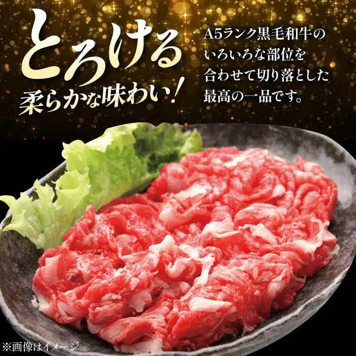 【全3回定期便】国産和牛切落し 600g[AOAI023] 牛肉切り落とし