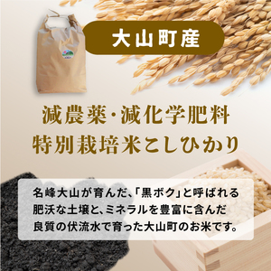 MR-13　減農薬・減化学肥料　特別栽培米こしひかり　5kg（玄米）