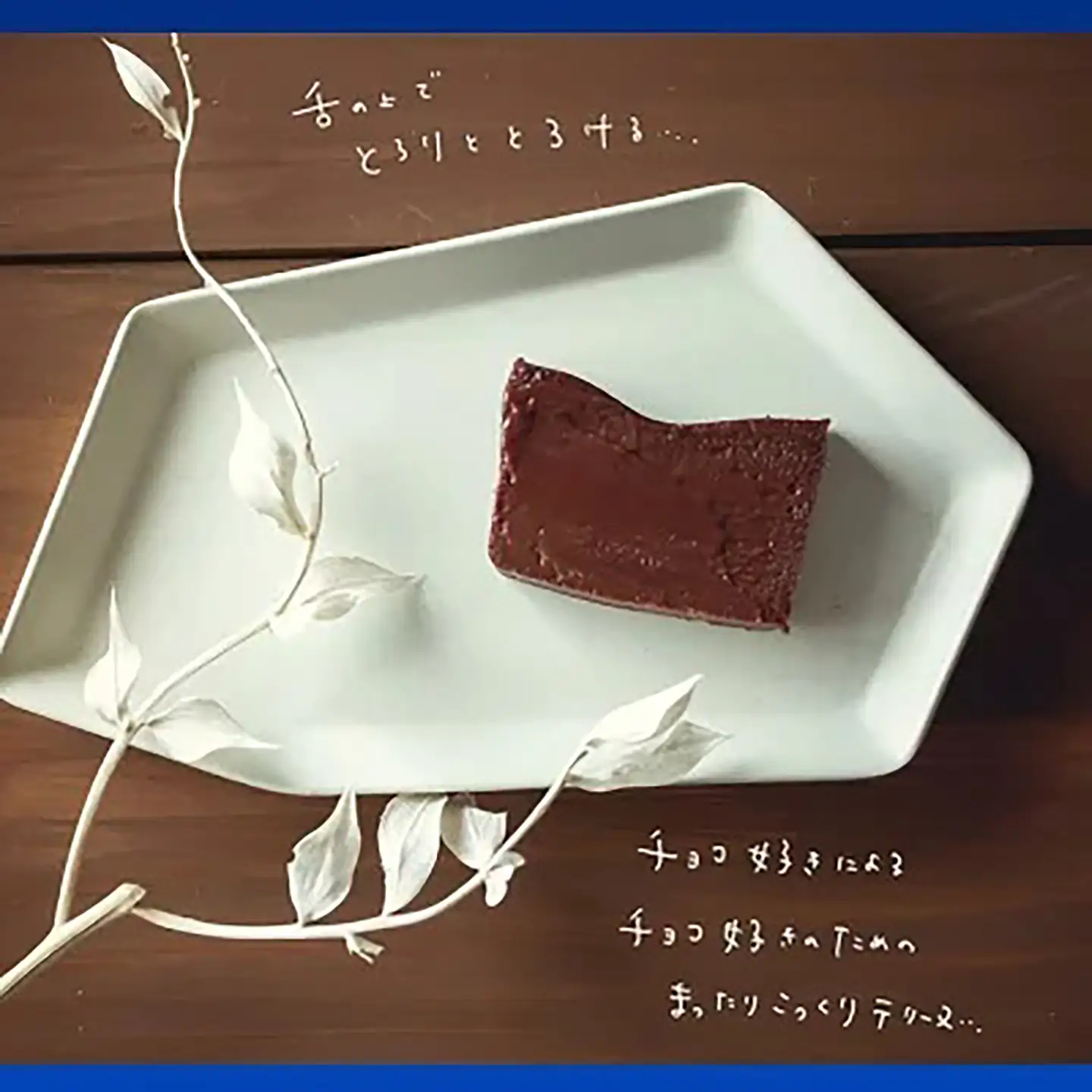 テリーヌ 300g×2種 テリーヌ