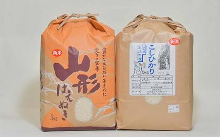 新庄市産米 コシヒカリ (精米) 5kg はえぬき (精米) 5kg 合計10kg セット F3S-2316