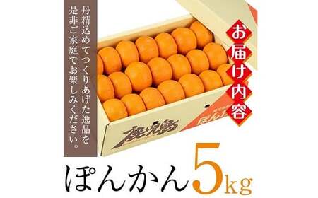 ＜先行予約＞＼数量・期間限定／ ポンカン 約5kg（2L・L） 化粧箱入り ポンカン【01-039-06】