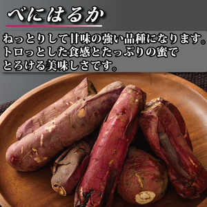 べにはるか冷凍焼き芋（小）（CR-6）