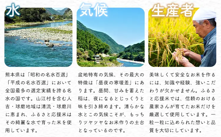 【3ヶ月定期便】米 無洗米 家庭用 熊本 ふるさと応援 定期便 5kg《お申込み翌月から出荷》