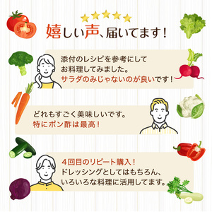 ドレッシング 1977年創業 野菜村 お肉に合う 調味料 ドレッシング