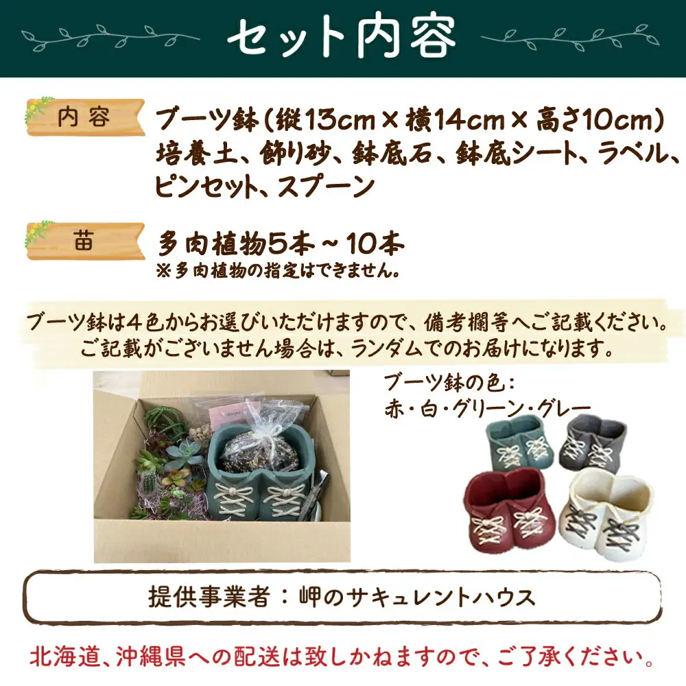 多肉植物の寄せ植えセット (両足)5本～10本