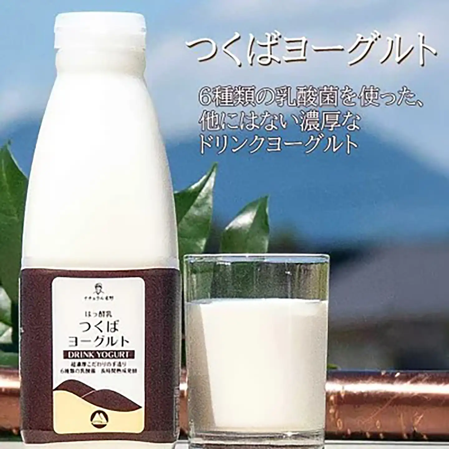 筑波ハム かすみセット（つくばヨーグルト500ml×3本/クリームチーズ120g×2個）