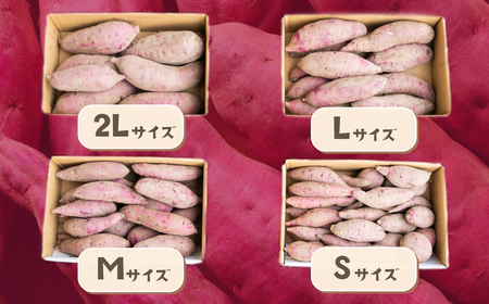 さつまいも 紅はるか 5kg 2Lサイズ 茨城県下妻市産 【 紅はるか べにはるか さつまいも サツマイモ 甘薯 かんしょ 】 
