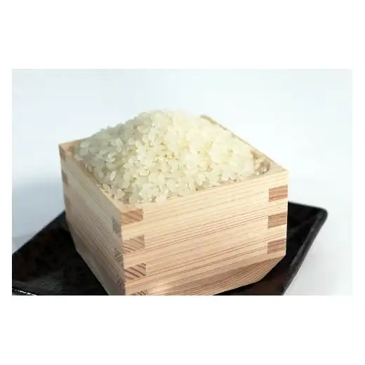 ≪令和7年産≫【12か月定期便】岐阜ミルキークイーン5kg