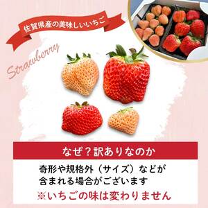 玄海町産いろどりいちご詰め合わせ（家庭用・訳あり）／ 訳ありいちご【B190】