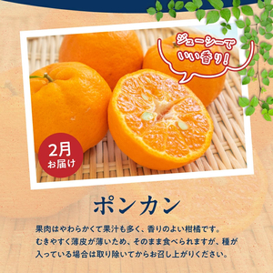 【定期便 全3回】紀州和歌山産旬のフルーツ定期便（ポンカン、なつみ、スイカ）_G60-T62