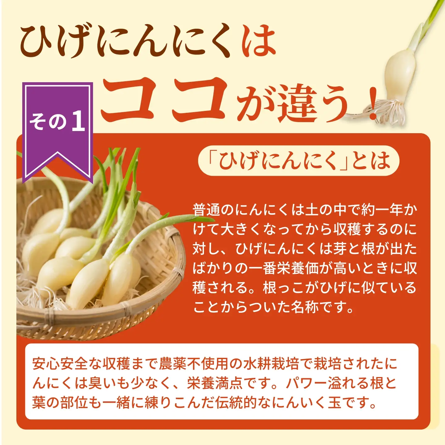 珍しいひげにんにくと有精卵で作ったにんにく卵黄 15袋セット：B685-001
