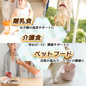 【12月上旬より順次発送】 自然栽培冷凍野菜チップ詰め合わせセット 200g×5袋 ｜ オーガニック 野菜 無添加 野菜チップ 自然 低カロリー ヘルシー バランス栄養 ダイエット 自然栽培 栄養価 体質改善 愛媛県 松前町 【KRU003】