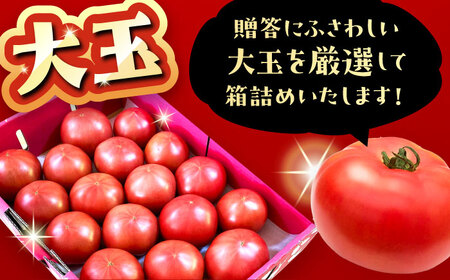 【2週間以内に発送！】 大玉トマト 2種 詰合せ 4kg [AUAH013]大玉トマト