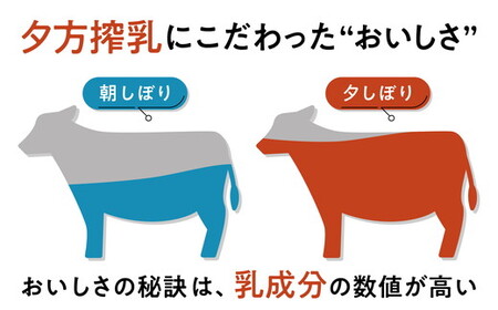【3ヶ月定期便】四国乳業の夕しぼり6本セット（500ml×6本×3回） ｜ 愛媛県産 牛乳 ミルク みるく 四国乳業 らくれん 夕しぼり 夕方搾り 愛媛 ※離島への配送不可