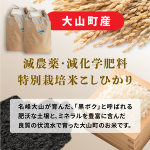 MR-15　減農薬・減化学肥料　特別栽培米こしひかり「白米」と「玄米」のセット 10kg （各5kg　計10kg）
