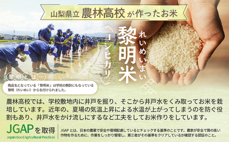 【令和6年産】 コシヒカリ 5kg 農林高校 黎明米 2024 令和6年 お米 こめ コメ コシヒカリ こしひかり 高校生 白米 精米 山梨県 山梨 甲斐市