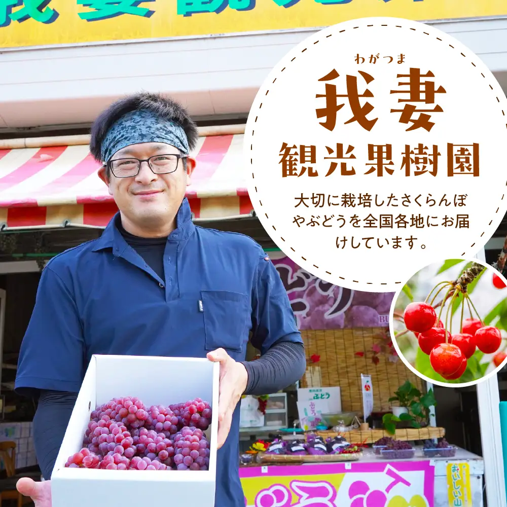 【先行予約】【数量限定】【令和8年産】ぶどう デラウェア 2kg ( 8～10房 ) 2026年8月20日～9月20頃お届け予定