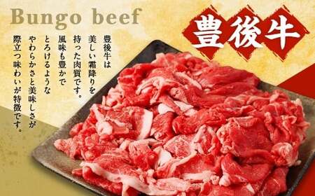 【3ヶ月定期便】豊後牛 切り落とし 約800g (約400g×2) × 3回 合計約2.4kg 定期便 牛肉 大分県産 国産 焼肉 ステーキ 霜降り【2025年2月発送開始】
