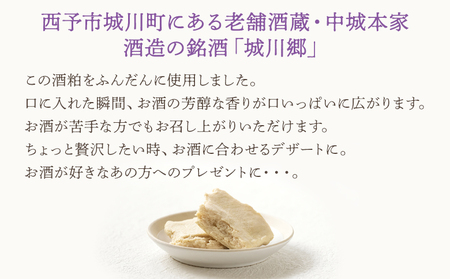 ＜中城本家酒造「城川郷」酒粕のチョコテリーヌ 12個＞ とろんと滑らか食感 お酒好き お菓子 焼き菓子 洋菓子 おやつ デザート お取り寄せ 詰合せ 詰め合わせ 個包装 美味しい ギフト スイーツ工房絹 愛媛県 西予市【冷凍】『1か月以内に順次出荷予定』NSK0008