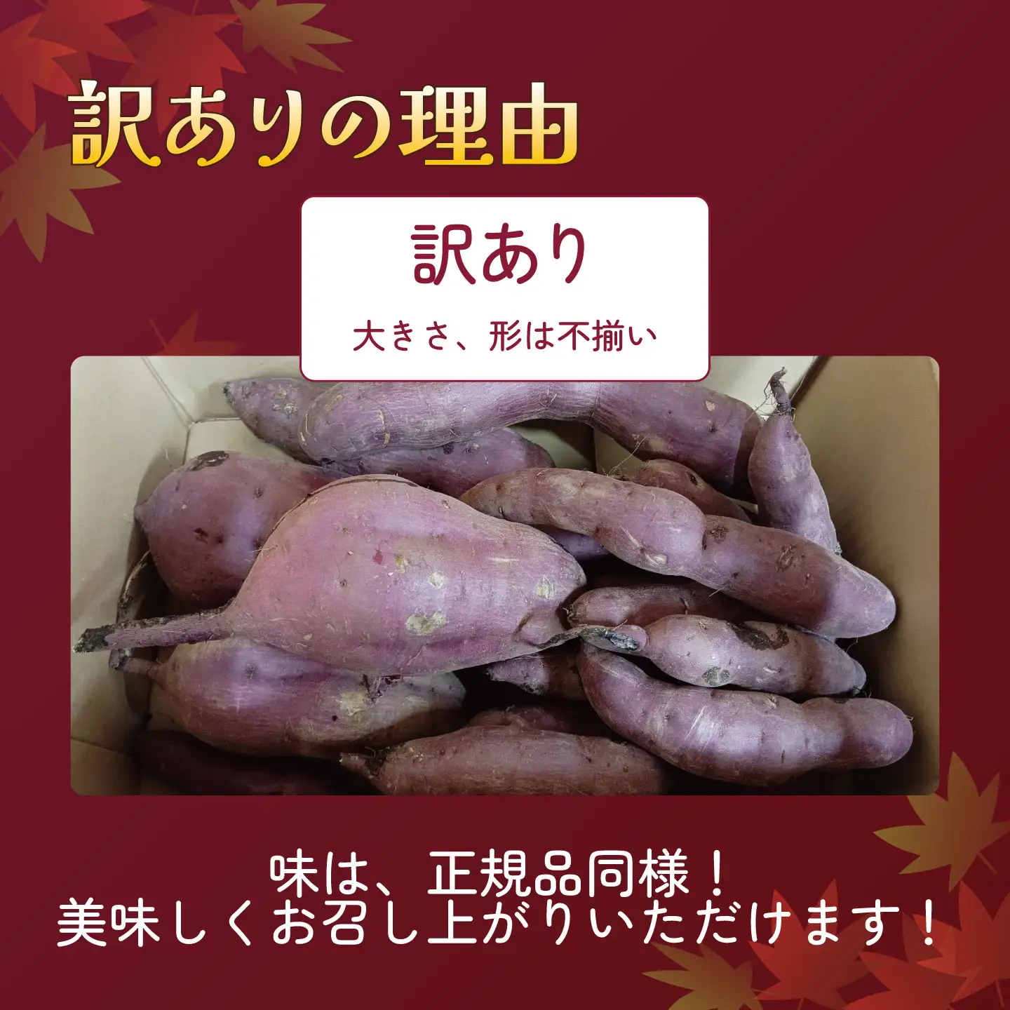 先行予約 さつまいも 訳あり 紅はるか 7kg さつまいも