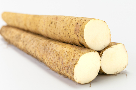 【七谷産】自然薯 2kg 《12月中旬～順次発送》じねんじょ 山芋