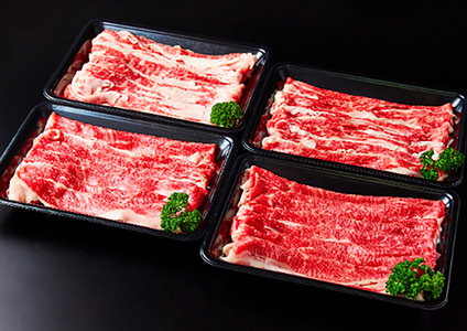 【定期便】近江牛 定期便 ハンバーグ 切り落とし 角切り 全3回 3か月 【FO54W】 【 近江牛 】 牛肉