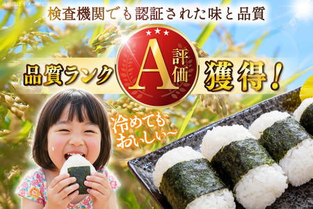 白米 精米 元気つくし 令和7年産 白米 5kg