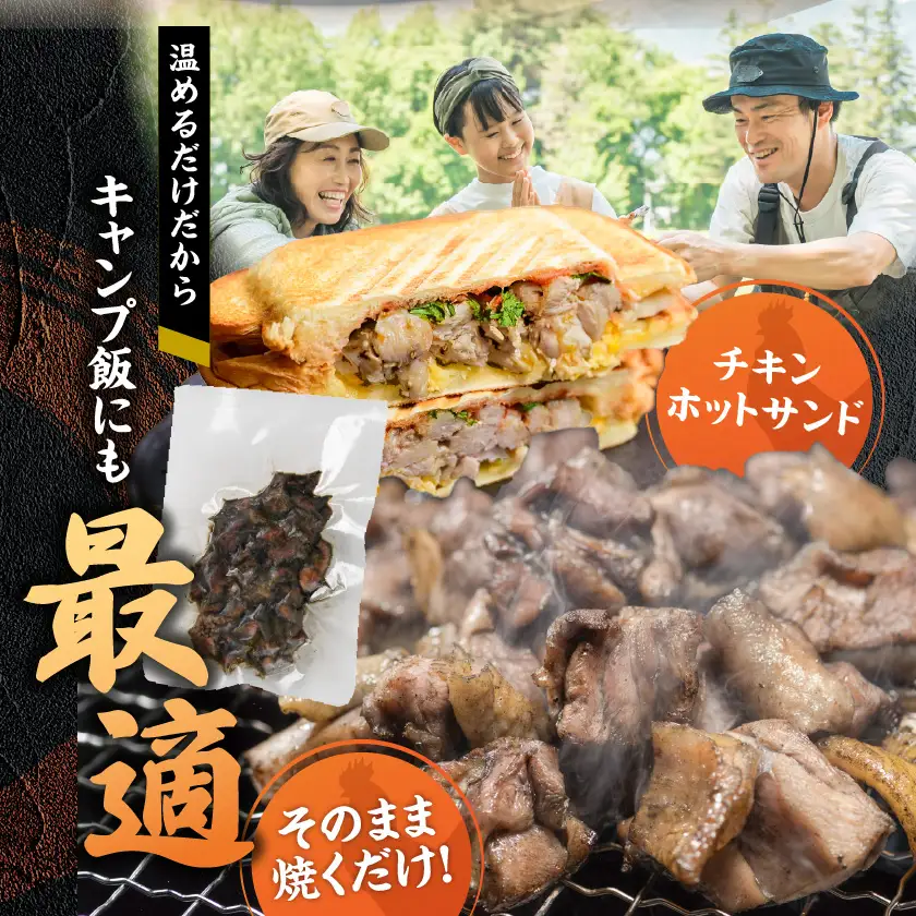 ≪超小分けパック≫職人手焼き!国産若鶏炭火焼1kg〔LE5-33-019-1000g〕_ (都城市) 国産若鶏 若鶏炭火焼 小分け 100g 宮崎名物 鶏炭火焼 おつまみ