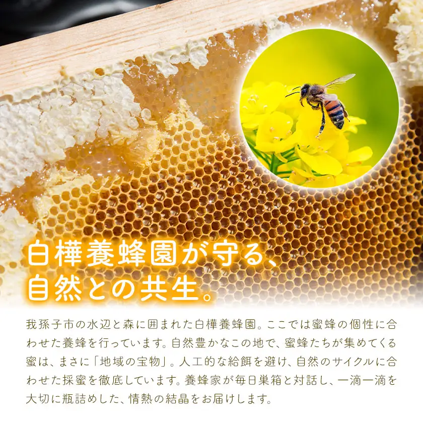 はちみつ 日本蜜蜂の純粋はちみつ 巣蜜入り 200g 白樺養蜂園