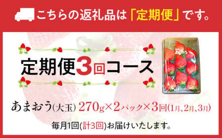 あまおう（大玉）、2パック×3回（1月、2月、3月）定期便（270g/パック）CT001