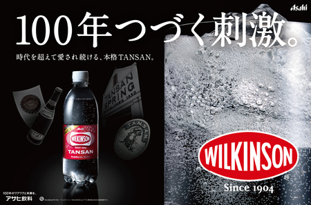 強炭酸水【2ヶ月お届け！】ウィルキンソンタンサン PET500ml×2箱（48本入）定期便 炭酸