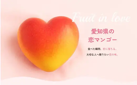 【先行予約】＜2027年6月中旬より順次発送＞プレミアム樹上完熟　恋マンゴー約1kg（2～3個）（化粧箱入）｜フルーツ デザート