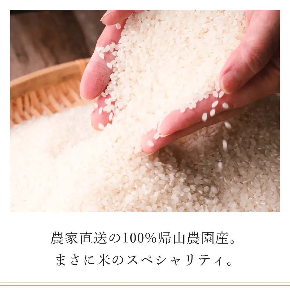 【令和7年産新米】【6カ月定期便】特別栽培米産地直送「ゆめぴりか 10kg」《帰山農園》 米 こめ 北海道産お米 北海道米 美味しいお米 北海道産米 道産米