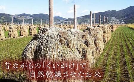 【わら屋のお米】 令和7年産 特別栽培米 はえぬき 5kg 『おがわ藁農園』 米 白米 精米 ご飯 農家直送 山形県 南陽市 [2067]