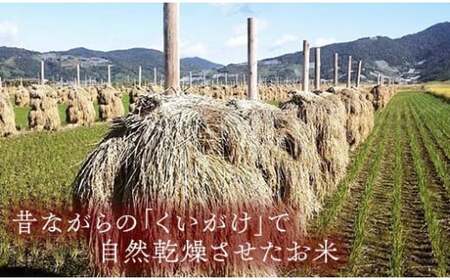 【わら屋のお米】 令和7年産 特別栽培米 つや姫 10kg 『おがわ藁農園』 米 白米 精米 ご飯 農家直送 山形県 南陽市 [2168]