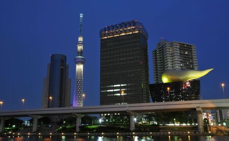 屋形船 乗合乗船ペアチケット スカイツリーコース 屋形船