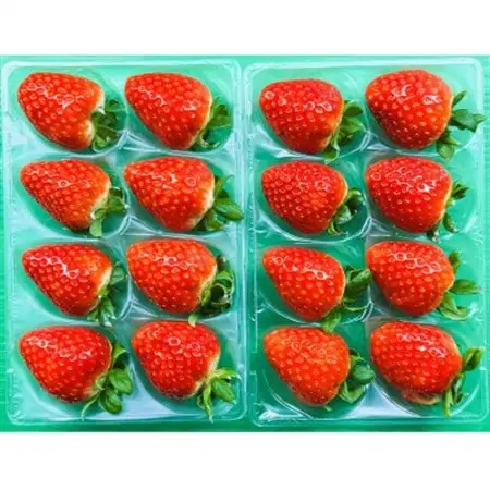 【2027年1月以降発送】《希少品》奈良県産いちご「古都華」大粒(5L～4Lサイズ )2パック_果物・フルーツ いちご  イチゴ 苺_【配送不可地域：離島】【1556701】