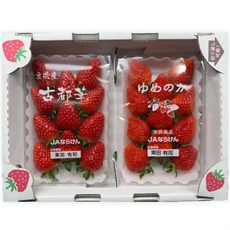 【2027年1月以降発送】奈良県産いちご「古都華」と「ゆめのか」の食べくらべ　合計2パック_果物・フルーツ いちご  イチゴ 苺_【配送不可地域：離島】【1556702】